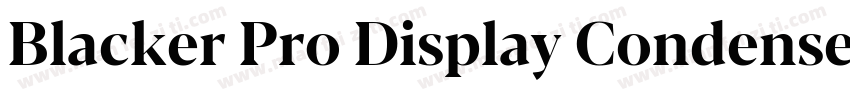 Blacker Pro Display Condensed Trial字体转换